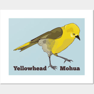 Mohua Yellowhead Posters and Art